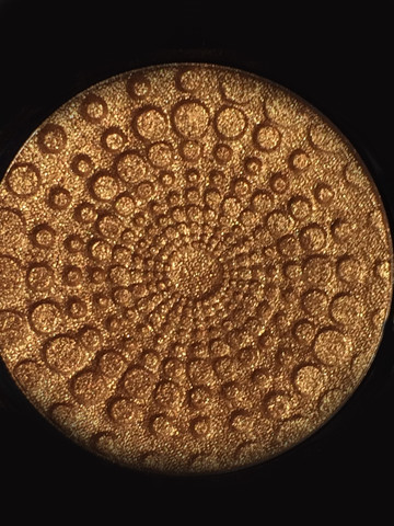 Gabrielle Union #006----Pressed Powder